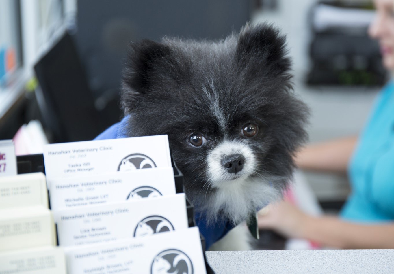 Client Forms & Information Sheets Hanahan Veterinary Clinic