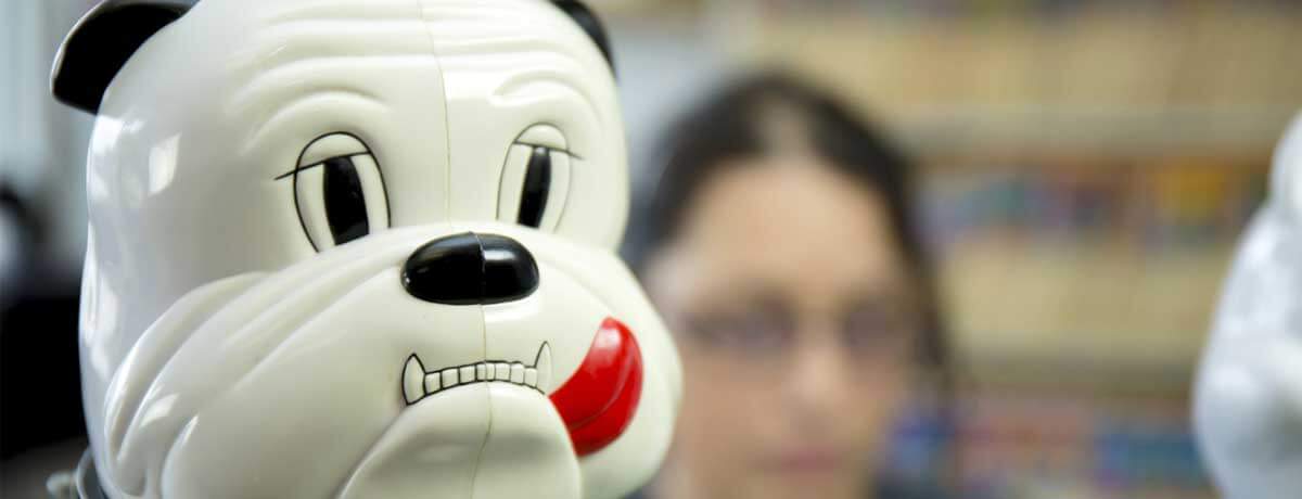 Image of a dog treat jar