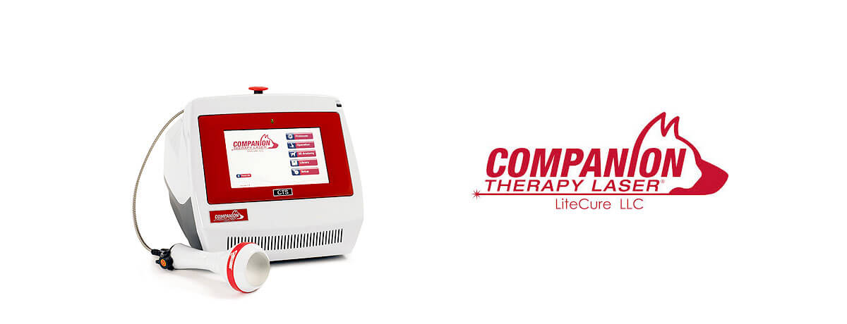 Image of the Companion Therapy Laser System